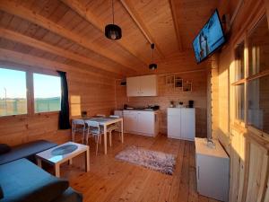 a living room with a couch and tables in a cabin at Domki nad stawem in Sambród