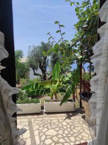 Billede fra billedgalleriet på Apartman Mali Pijesak i Bar + 7 billeder