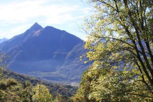 ein Berg in der Ferne mit Bäumen im Vordergrund in der Unterkunft APPARTEMENT T2 neuf ☆☆☆ proche ARGELES GAZOST in Beaucens