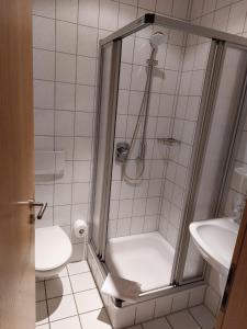 y baño con ducha, aseo y lavamanos. en Gästehaus Annette Hermes-Hoffmann en Trittenheim