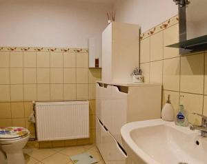 a bathroom with a sink and a toilet at Apartament Pod Szczytnikiem in Szczytna
