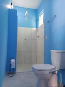 La salle de bains bleue est pourvue de toilettes et d'une douche. dans l'établissement Benvivere - Indaiatuba - Seu descanso é aqui!, à Indaiatuba