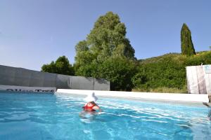 Bazén v ubytovaní Villa Olive Tree with Private Pool alebo v jeho blízkosti