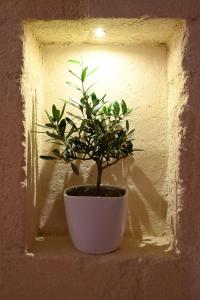 Fotografie z fotogalerie ubytování Pietrabianca Apartments San Lorenzo v destinaci Manfredonia