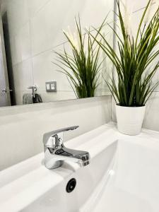 Kylpyhuone majoituspaikassa ISLAND SUITES