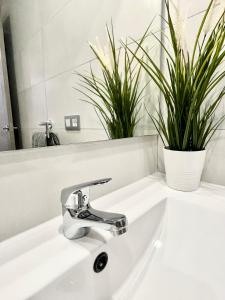 A bathroom at ISLAND SUITES