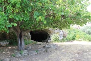 Kép IL Rustico di Giò szállásáról Cariniben a galériában