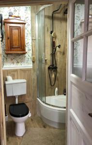 a bathroom with a shower and a toilet and a sink at Agroturystyka u Królów in Nowe Guty