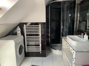 uma casa de banho com uma máquina de lavar roupa e um lavatório em Apartament Podczerwone em Czarny Dunajec