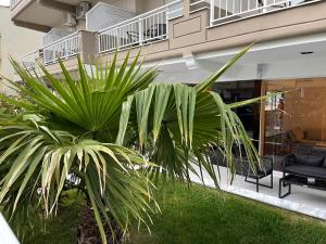 een palmplant voor een gebouw bij Brother's House in Kallithea
