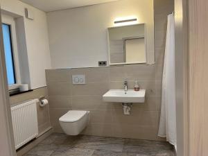 ein Badezimmer mit einem WC, einem Waschbecken und einem Spiegel in der Unterkunft 90 m2 Appartment with 2 Bedrooms, terrace and garden in Bad Friedrichshall