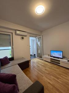 Μια τηλεόραση ή/και κέντρο ψυχαγωγίας στο Apartman Lukana