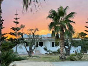 una palmera frente a una casa blanca en Villa Angela case vacanza, en Vieste