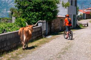 Andar de bicicleta em Olhares do Lobo ou nos arredores