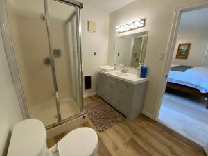 a bathroom with a shower and a toilet and a sink at Barry's Bay Golf Resort in Barrys Bay