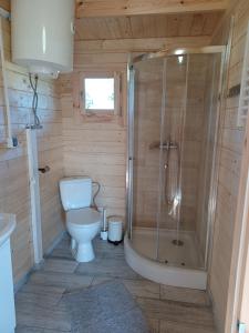 a small bathroom with a toilet and a shower at Domki nad stawem in Sambród +38 photos