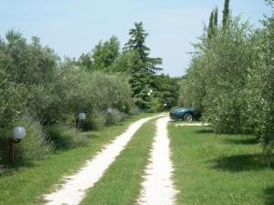 Příroda nedaleko bed and breakfast