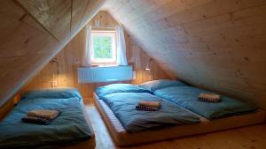 two beds in a tiny house with a window at Malá Hofmanka, horská chalupa na samotě, Krkonoše in Vítkovice