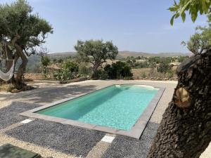 a swimming pool in the middle of a yard with trees at Villa Il Carrubo val di noto con piscina privata in Avola
