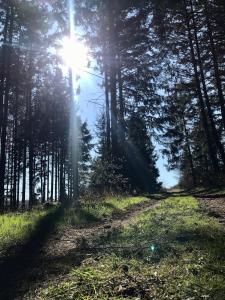Příroda nedaleko apartmánu