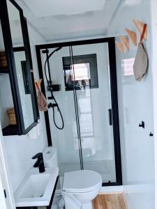 uma pequena casa de banho com WC e lavatório em Schwimmendes Haus Johanne auf dem Wasser inkl Boot in Blankaholm em Blankaholm