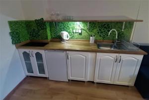uma pequena cozinha com um lavatório e um balcão em Chmarnik 693-702-076 em Polańczyk