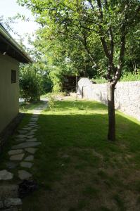 Ein Baum in einem Hof neben einer Steinmauer in der Unterkunft Badacsony Vendégház in Badacsonytördemic