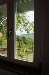 a window with a view of a tree at Badacsony Vendégház in Badacsonytördemic