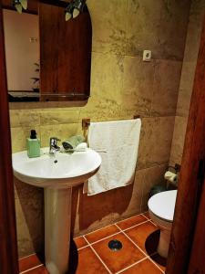 Kylpyhuone majoituspaikassa Quinta do Vale Encantado