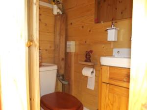 Au Cabanon Chez Nath - chbre d'hôtes的一间浴室