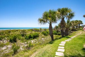 a path leading to the beach with palm trees at Sea Turtle Shores in St. Augustine