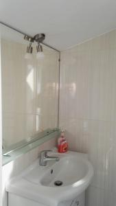 Kúpeľňa v ubytovaní Apartment Dalma