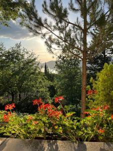 a garden with red flowers and a tree at Casetta Lake and Sun in Labro