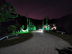 宾馆周边自然景观