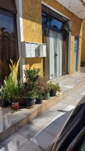 a row of potted plants sitting outside of a building at Apartamento no Jardim botânico in Brasilia