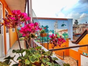 un grupo de flores rosas en un balcón en Cabañas tipo habitación " El paraíso de Zacatlán", en Zacatlán