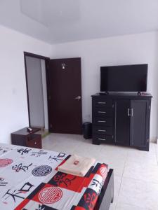 1 dormitorio con 1 cama y TV de pantalla plana en Hostal Apartamentos Delgado en Florencia