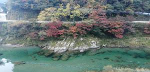 an aerial view of a body of water with trees at そらやまゲストハウス Sorayama guesthouse in Ino