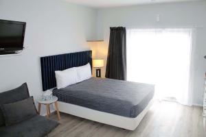 1 dormitorio con 1 cama, TV y sofá en Marlborough Wine Country B&B en Blenheim