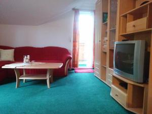 ein Wohnzimmer mit einem roten Sofa und einem TV in der Unterkunft Haus Toferer in Großarl