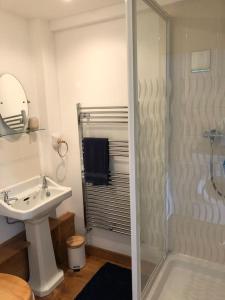 a bathroom with a shower and a sink at The Annexe in Sturminster Newton