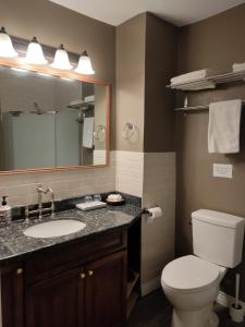 uma casa de banho com um WC, um lavatório e um espelho. em Semi Centre House em White Rock