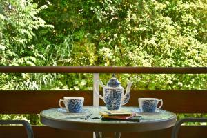A garden outside Casa Margarita