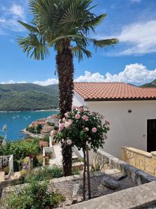 a palm tree and flowers in front of a house at D&A Superior Apartman in Rabac