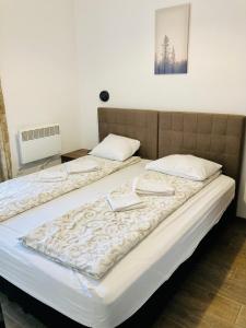 two beds sitting next to each other in a room at Centar Zlatibora, Vila Marina lux in Zlatibor