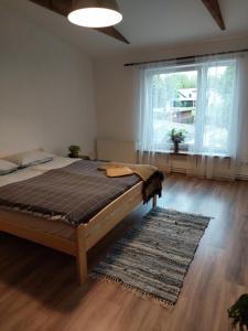 Gulta vai gultas numurā naktsmītnē Zvejnieka ligzda