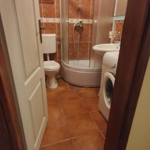 a bathroom with a shower toilet and a washing machine at Apartman Becici beach in Bečići +3 photos