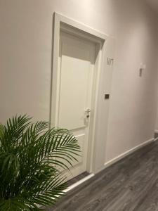 eine offene Tür in einem weißen Raum mit einer Pflanze in der Unterkunft Hotel Delle Camelie in Florenz
