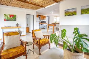 a living room with two chairs and a plant at Arendsig Wine Estate & Cottages in Bonnievale