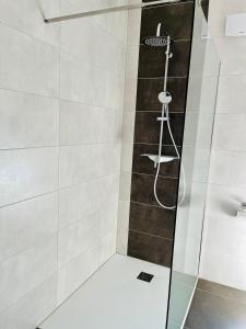 W łazience znajduje się prysznic ze szklanymi drzwiami. w obiekcie Ferienwohnung Dariana Schwalbach/Saar w mieście Schwalbach